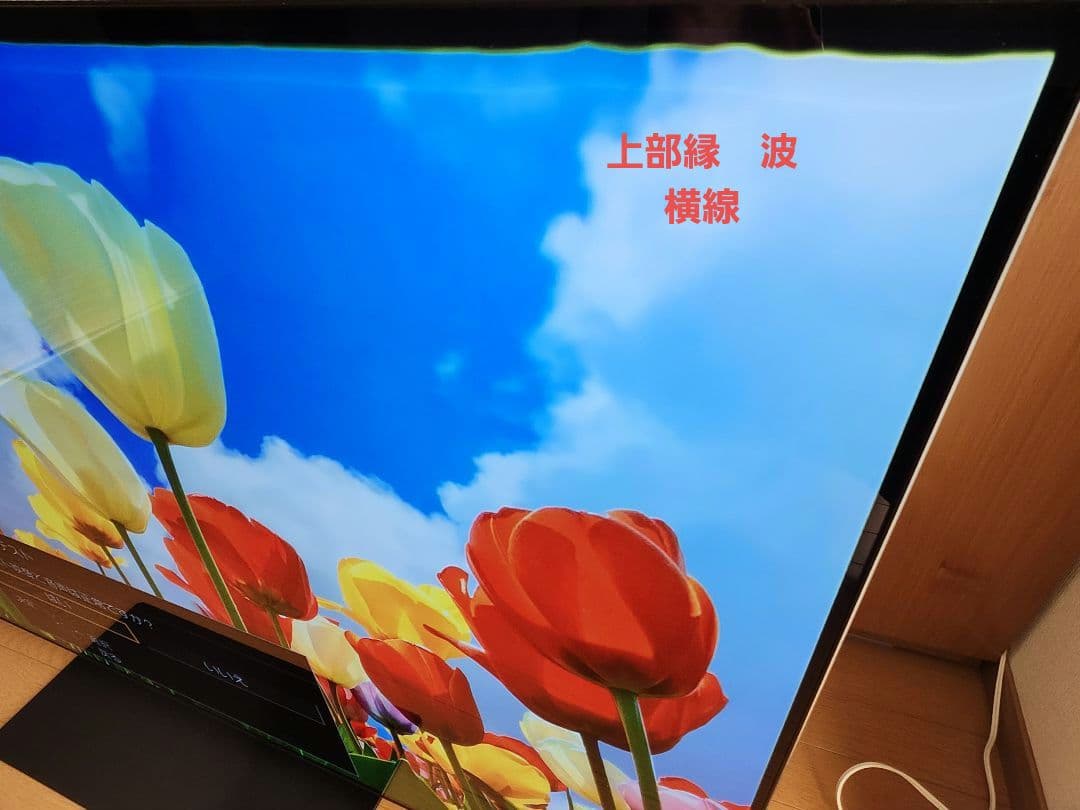 【訳あり】Panasonic 有機ELテレビ th-55fz950