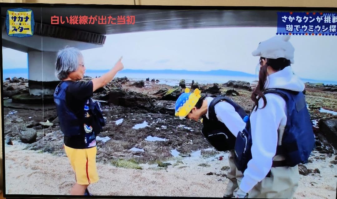 【訳あり】Panasonic 有機ELテレビ th-55fz950