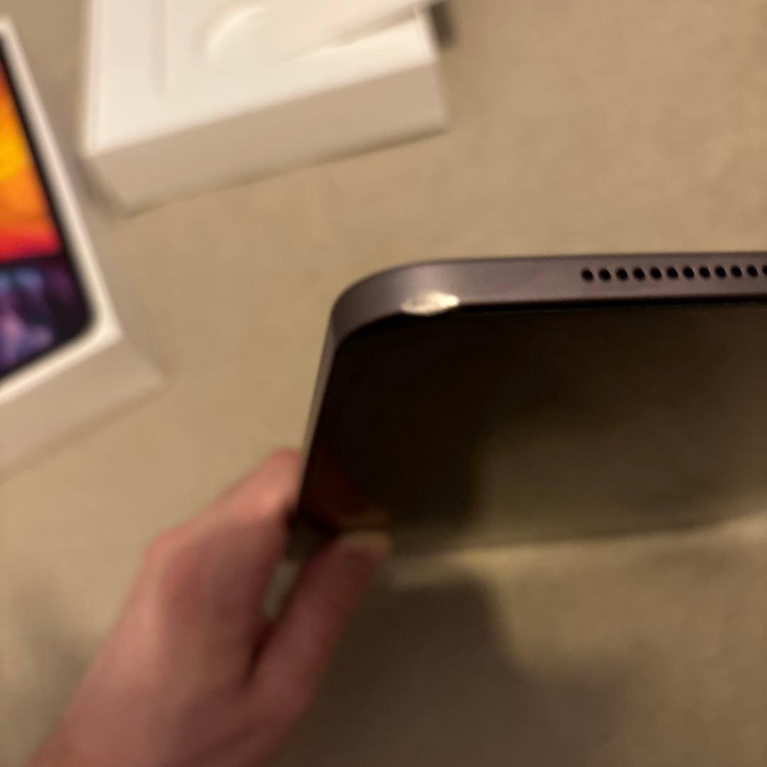 美品 iPad Pro 11インチ 256GB SIMフリ－(ケース付)