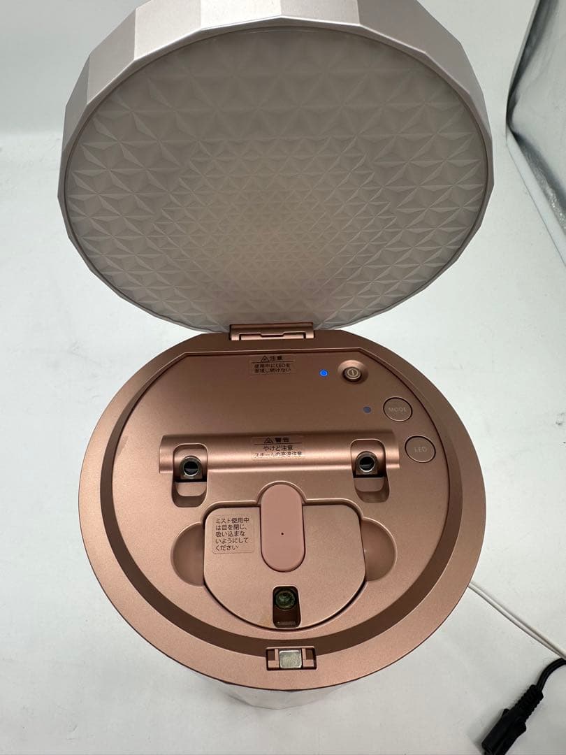 ☆ YA-MAN ヤーマン フォトスチーマー IS-100P