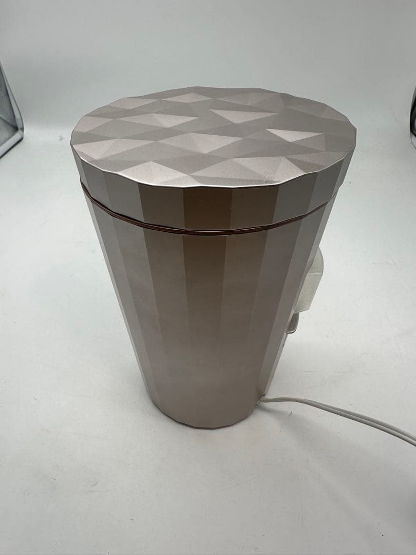 ☆ YA-MAN ヤーマン フォトスチーマー IS-100P