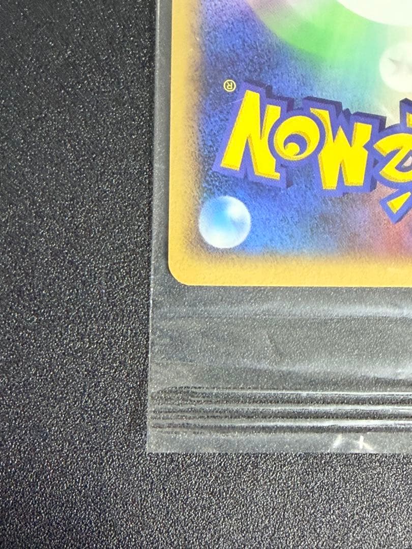 ポケモンカード ポケパークのゴンベ PROMO 040/PCG-P プロモ