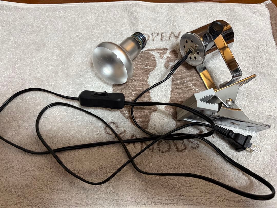 【最終値下げ】爬虫類飼育セット（爬虫類飼育ガラスケージセット）