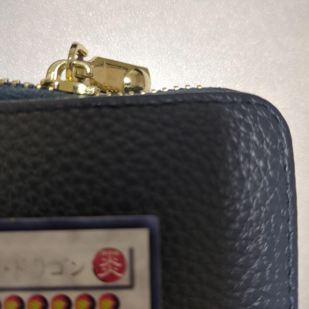 ブラックローズドラゴン　ホロ