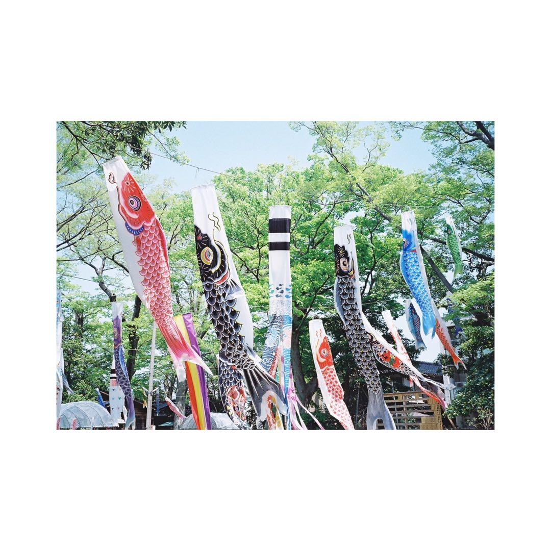 itk8916さん専用 ⌘フィルム、電池付き！ Autoboy juno 76⌘