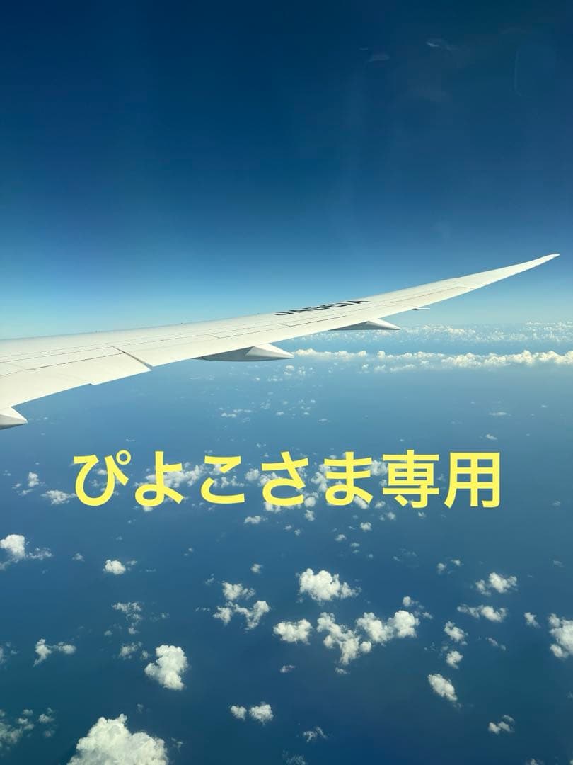 ぴよこさま専用　オーシャンアート