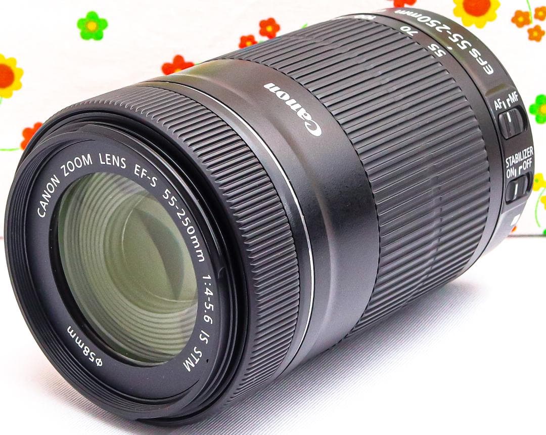 Canon EF-S 55-250mm IS STM☆静かに、遠くまで美しく届く