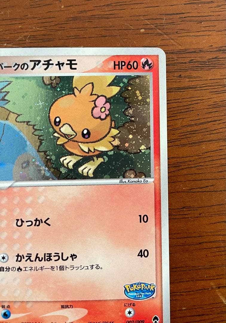 ポケパークのアチャモ