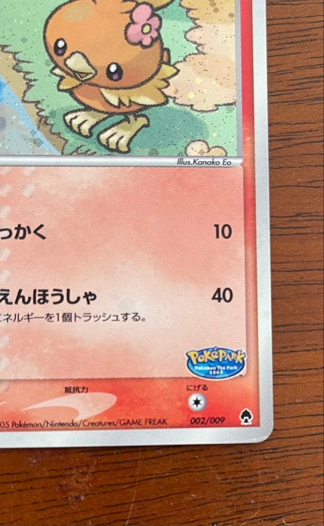 ポケパークのアチャモ