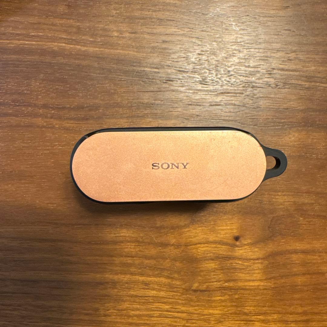 SONY WF-1000XM3（Spigenケース付き）