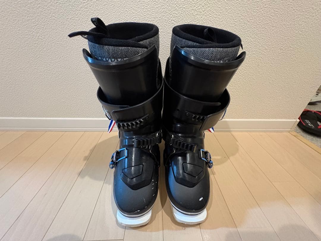 ダルベロ　イルモロプロ