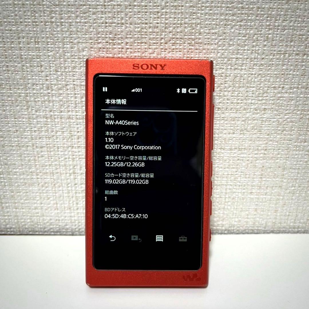 SONYソニー ウォークマンNW-A45 16GB SDカード128GB充電器