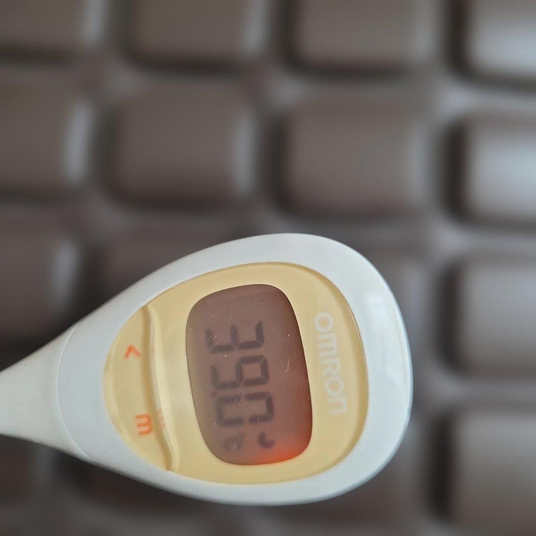 MTG 遠赤岩盤マット 式部 しきぶ SKB-H1503 家庭用岩盤浴