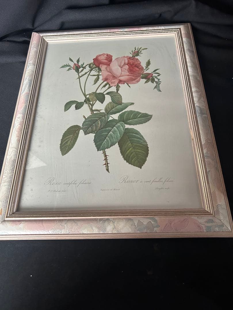 バラの植物画 シルバーフレーム付き