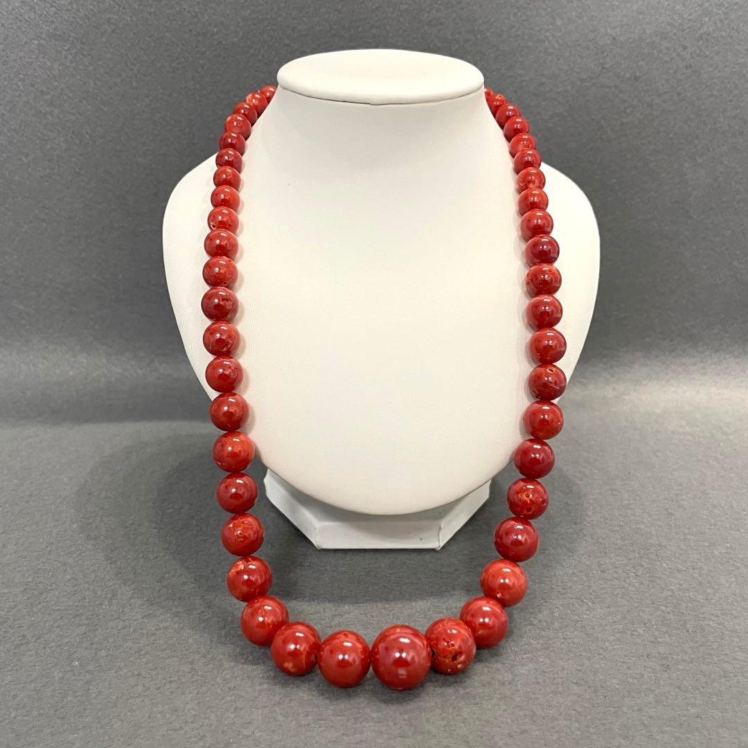 【F】本珊瑚 赤珊瑚 ネックレス レディース