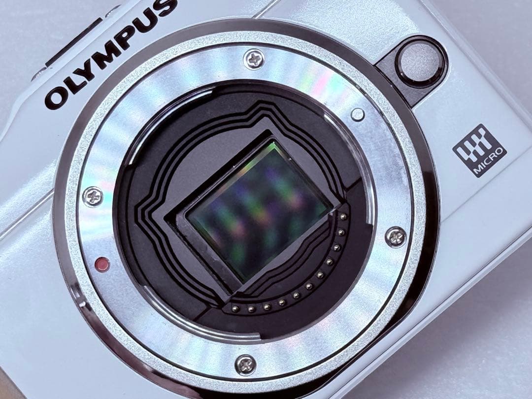 OLYMPUS PEN E-PL1s 動作確認済 付属品一式 ズームレンズキット