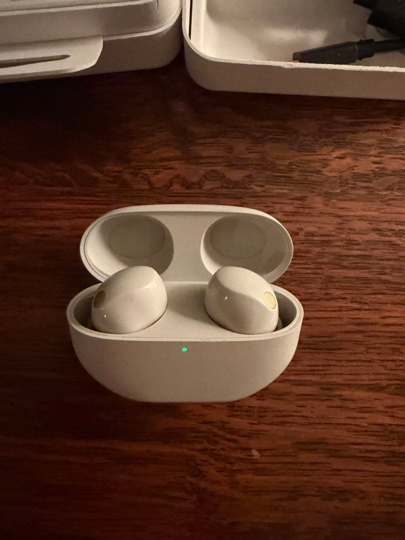 Panasonic ワイヤレスイヤホン 1000x