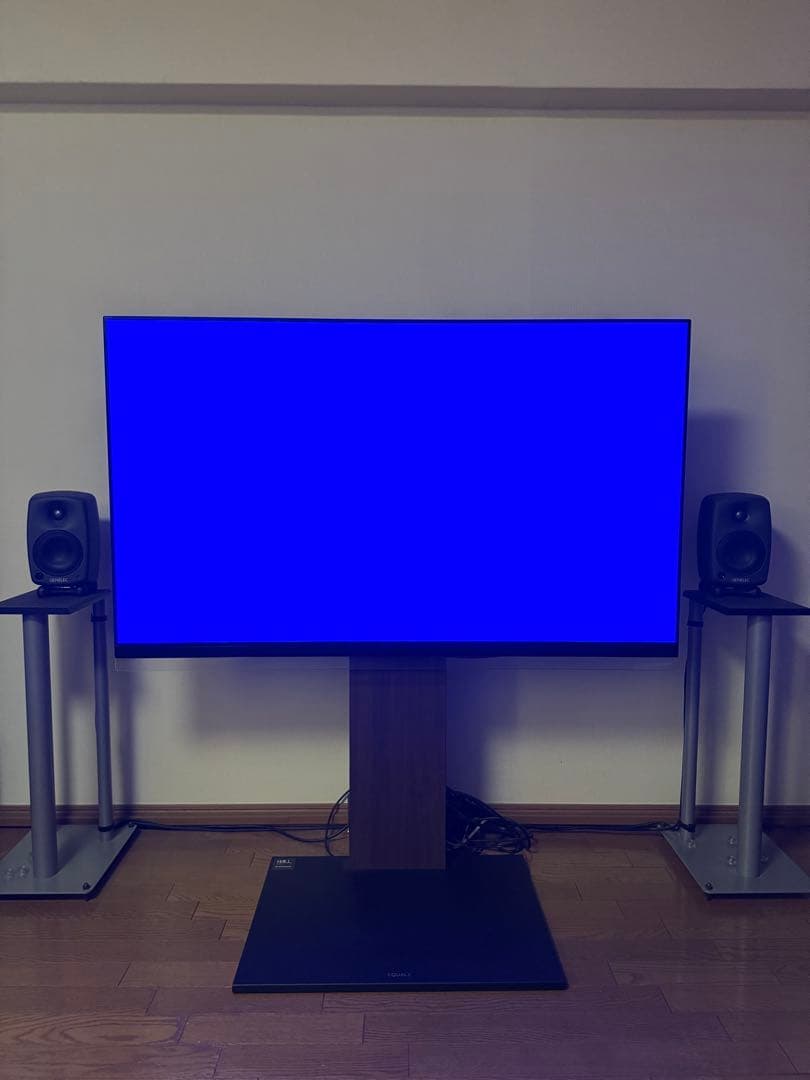 LG 有機EL 55 テレビ TV 本体 OLED55E9PJA プレミア