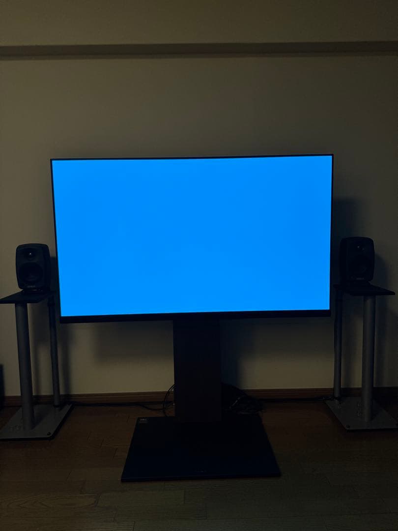 LG 有機EL 55 テレビ TV 本体 OLED55E9PJA プレミア