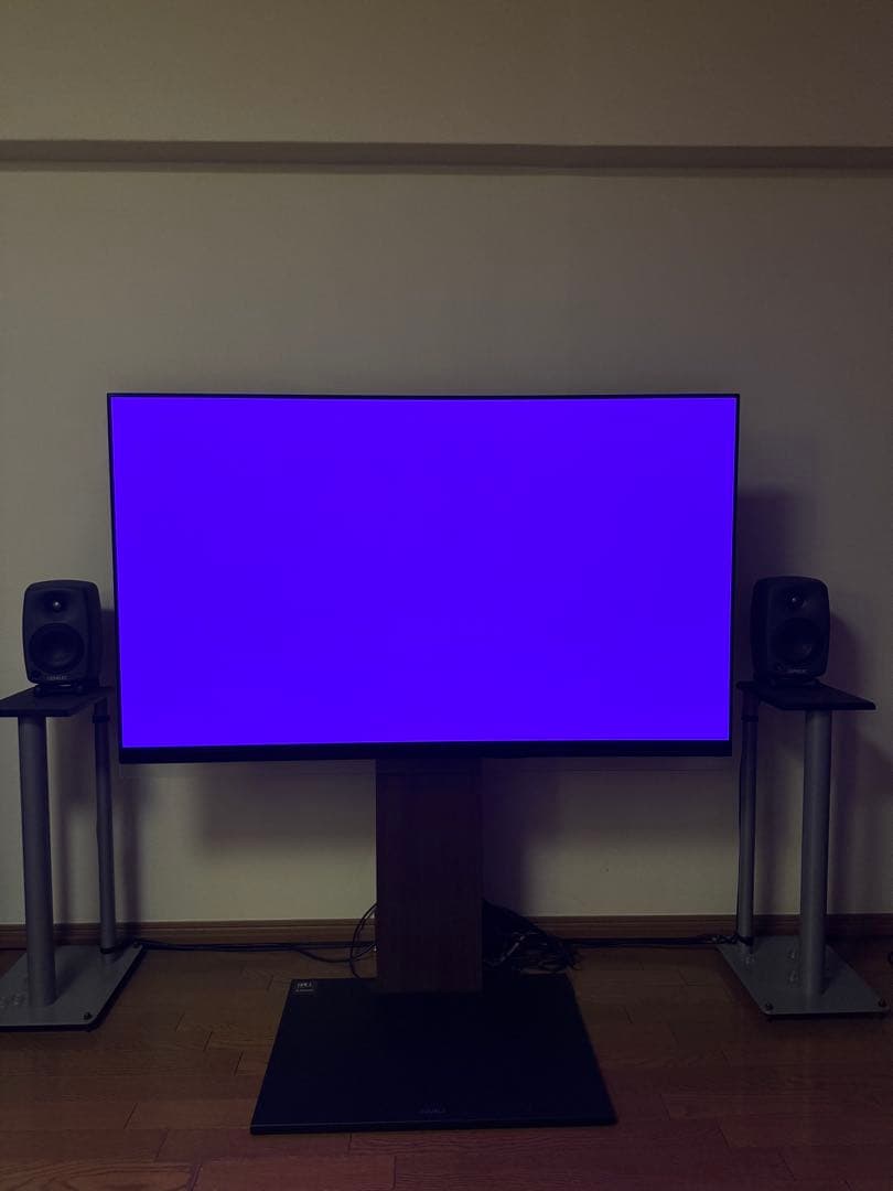 LG 有機EL 55 テレビ TV 本体 OLED55E9PJA プレミア