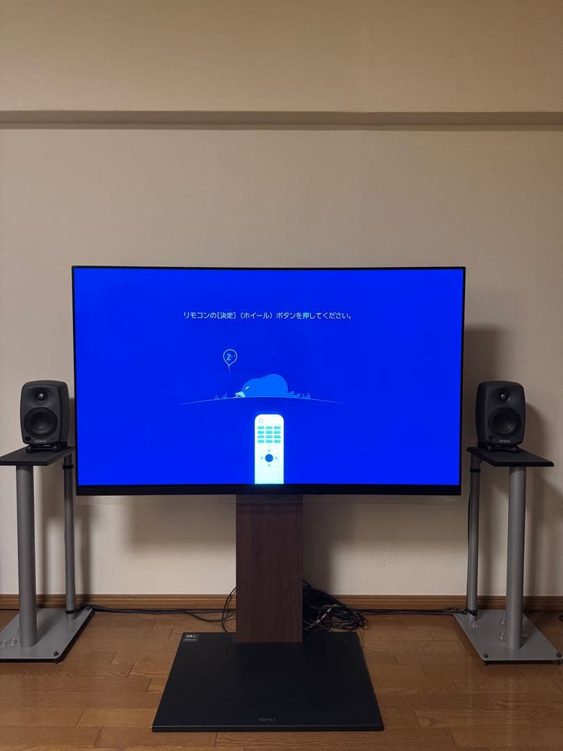 LG 有機EL 55 テレビ TV 本体 OLED55E9PJA プレミア