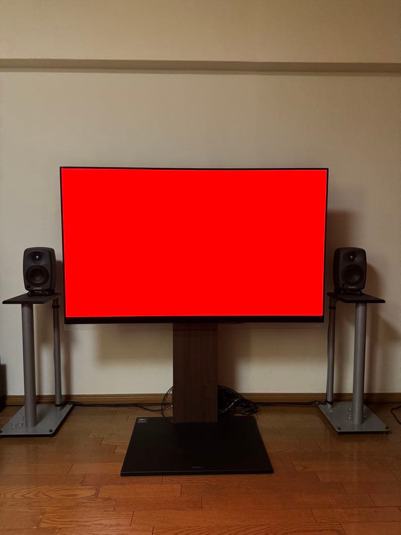 LG 有機EL 55 テレビ TV 本体 OLED55E9PJA プレミア