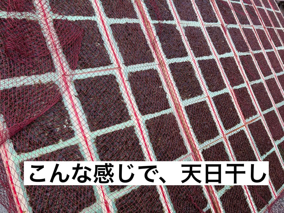 mi 様　【送料無料】新春はばのり5枚入り4セット