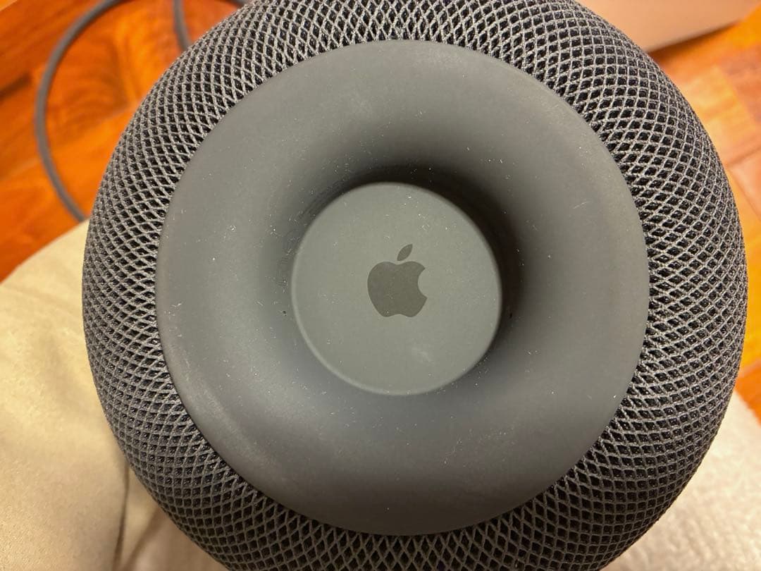 Apple Pod スペースグレー 本体　箱付き