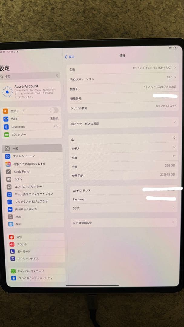 ★ほぼ未使用　iPad Pro13インチ256GB Wi-Fi