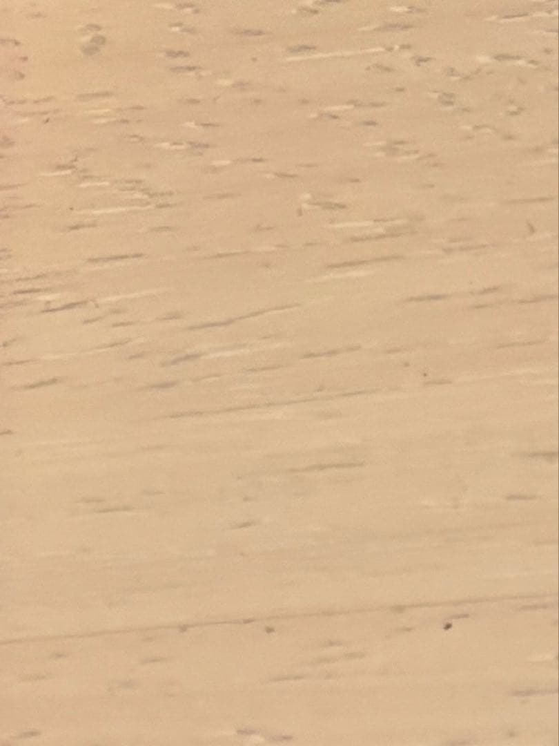 シャンプー sugar