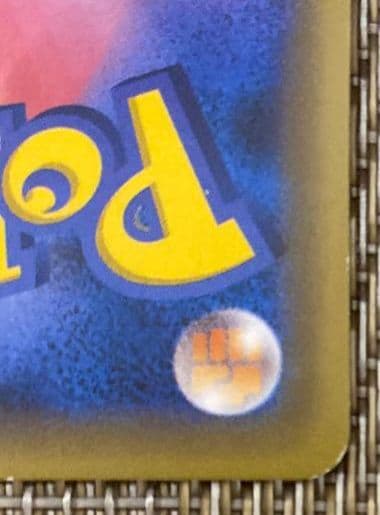 ポンチョを着たピカチュウ（レックウザ）