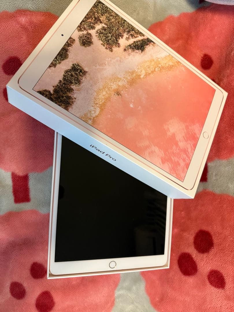 Apple iPad Pro 10.5インチ ピンクゴールド (A1701)
