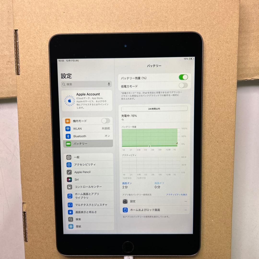 iPad mini (第５世代) Wi-Fi 64GB スペースグレイ