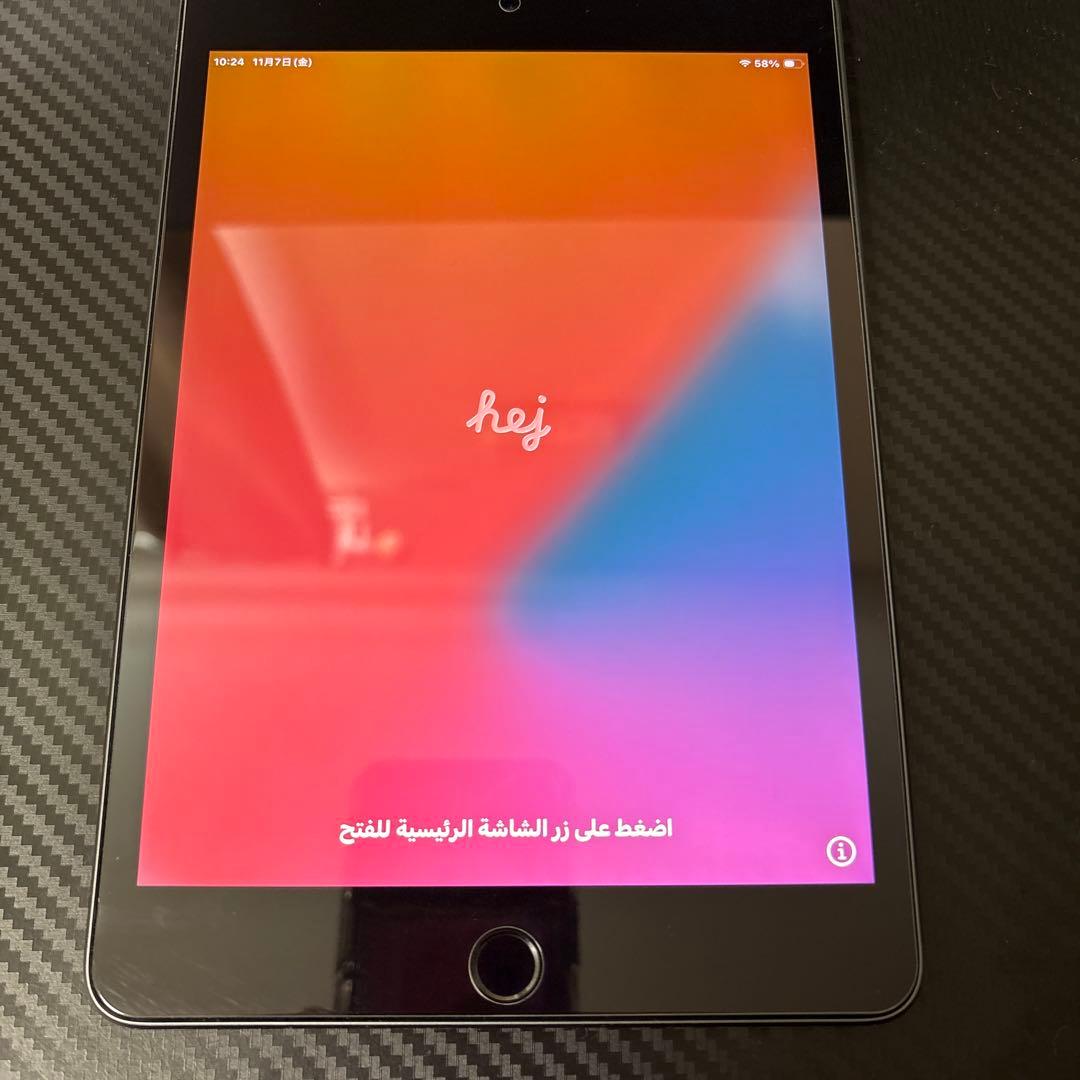 Apple iPad mini 5 スペースグレー 7.9インチ