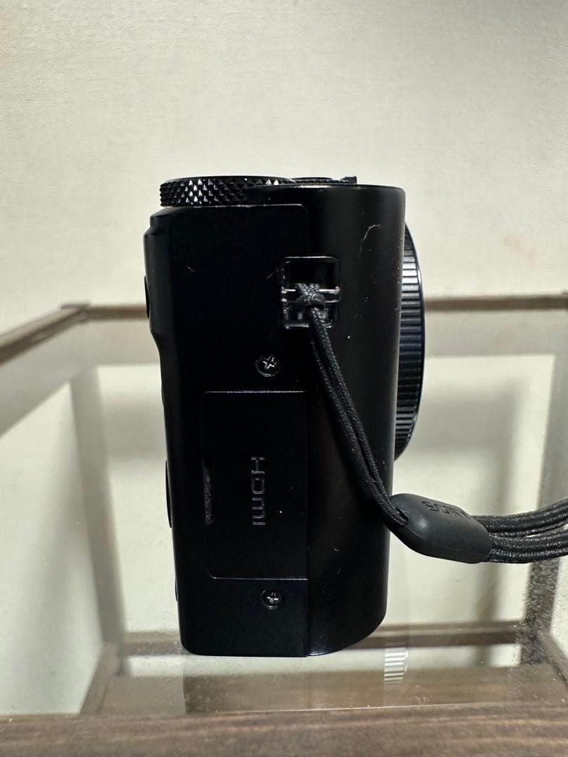 【りん】Panasonic LUMIX DMC-LX9