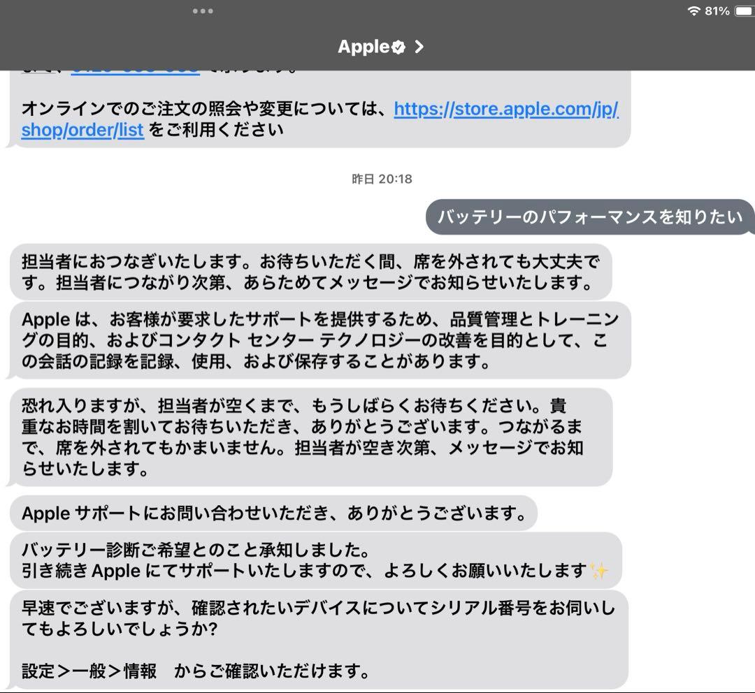 Apple iPad Pro (11インチ) 128GB バッテリー残量100%