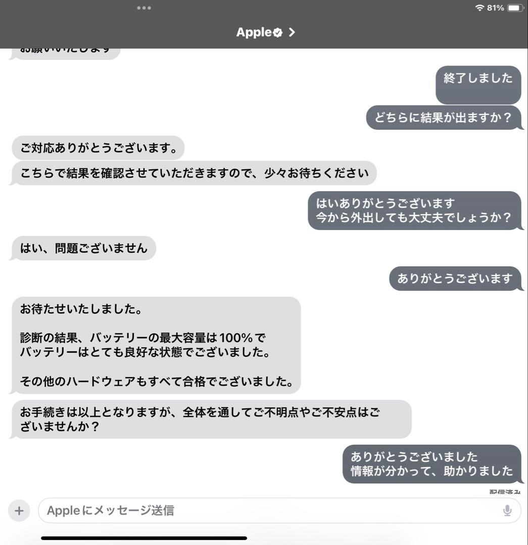Apple iPad Pro (11インチ) 128GB バッテリー残量100%