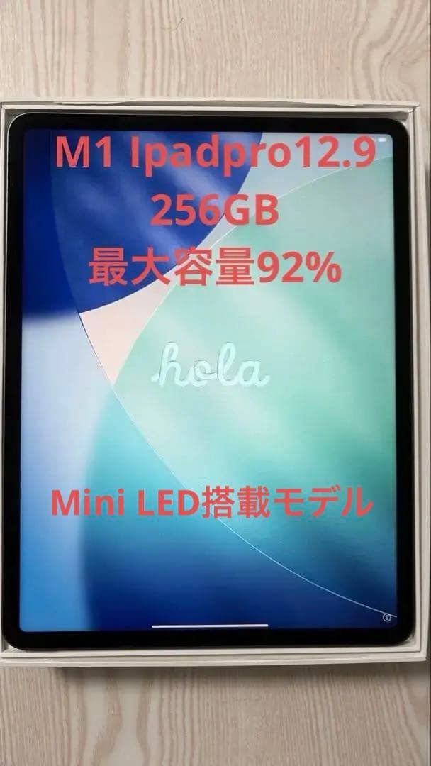 今週まで iPad Pro 12.9インチ (第5世代) 256GB グレー