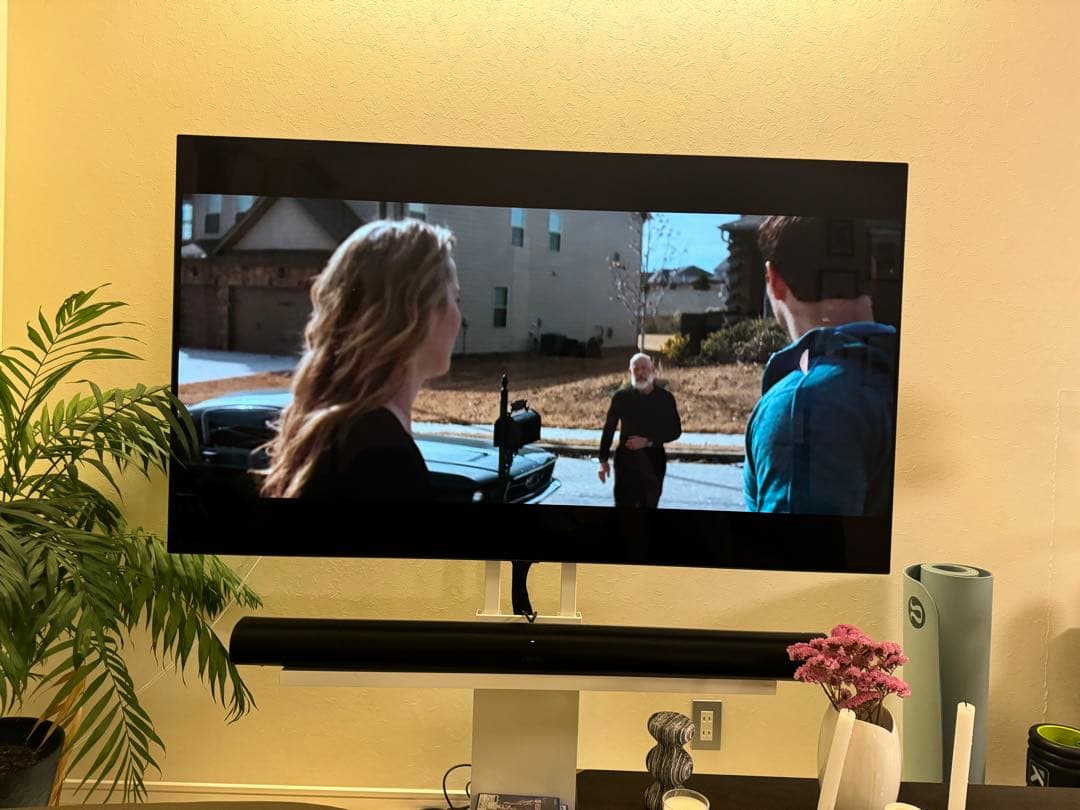 LG OLED 有機ELテレビ OLED65C9PJA