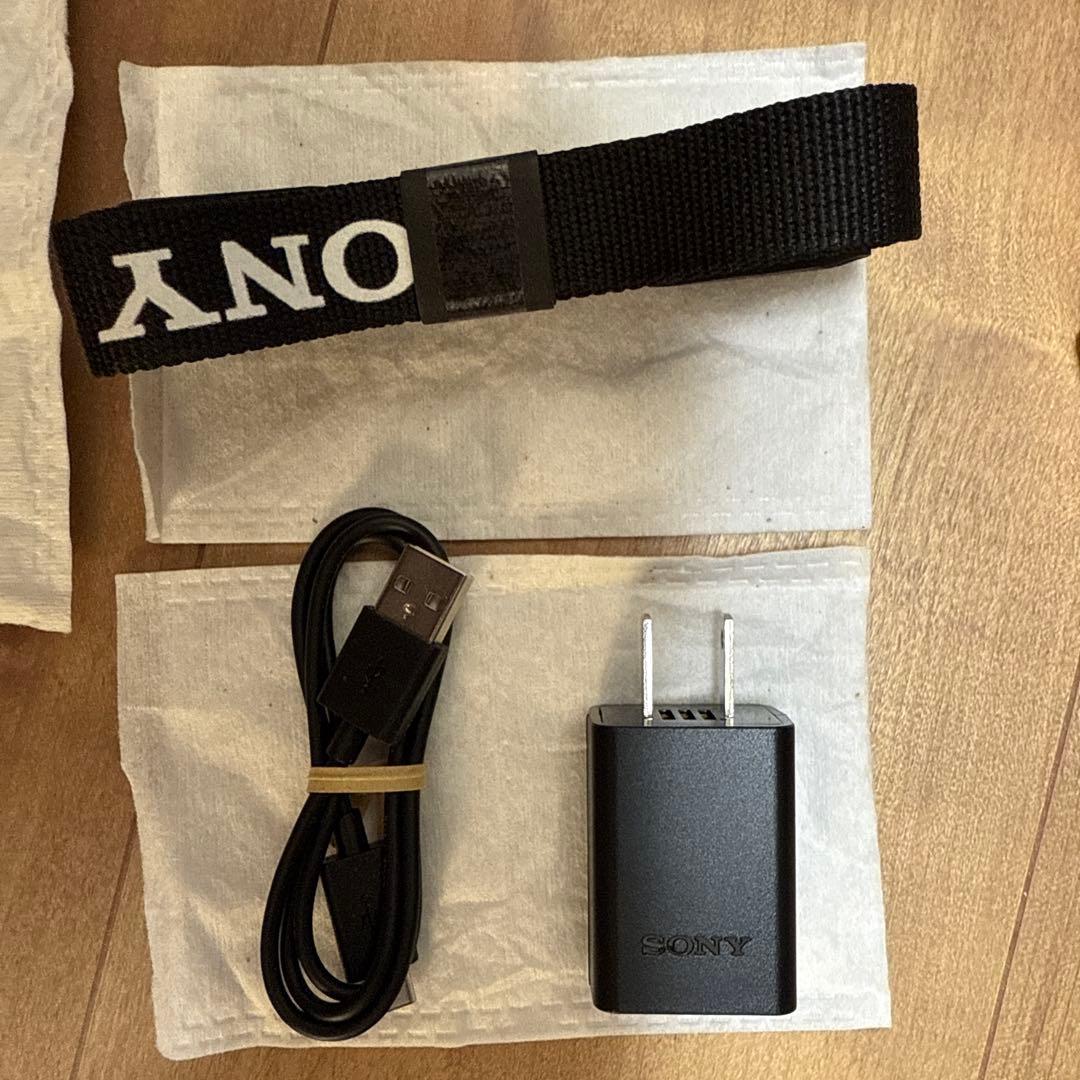 Sony ZV-E10 ミラーレス一眼 本体