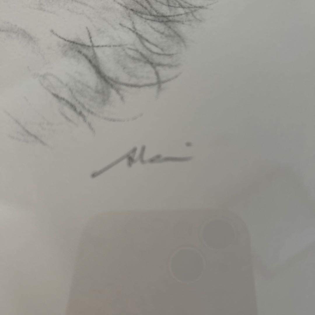 猫の鉛筆画 八代亜紀作 木製フレーム付き