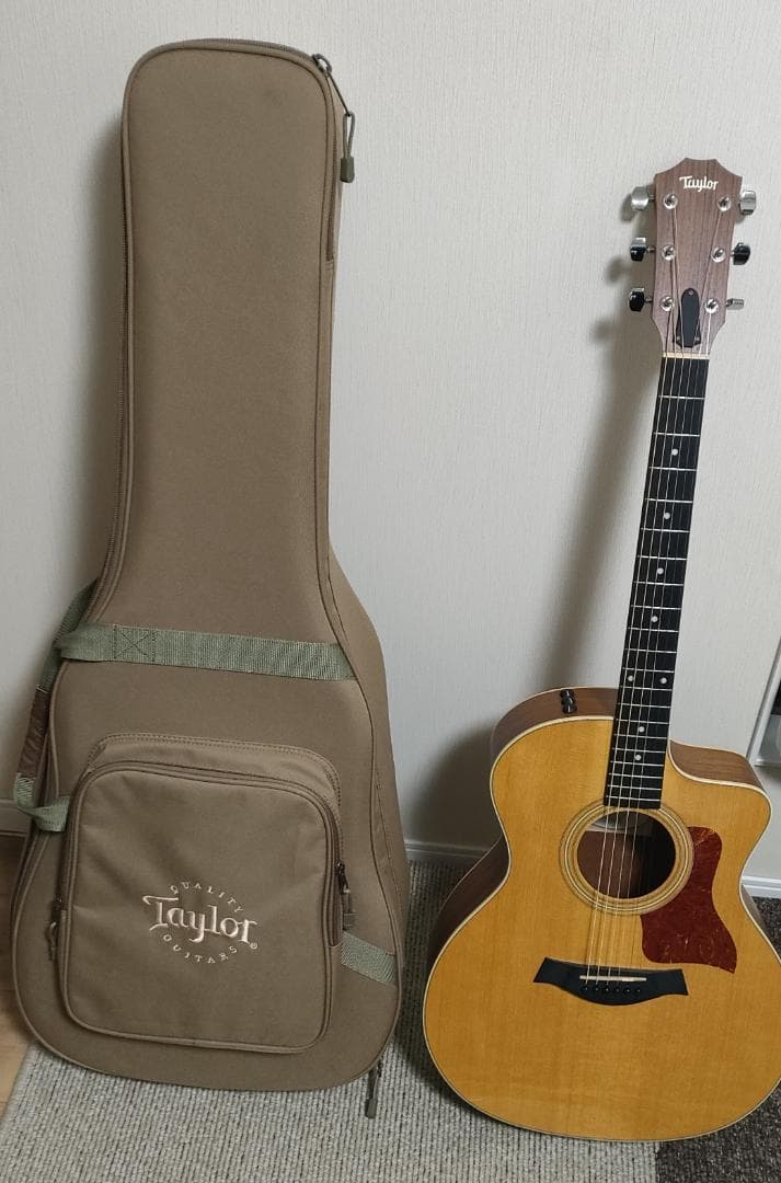Taylor 214ce エレアコ アコースティックギター 純正ケース付き