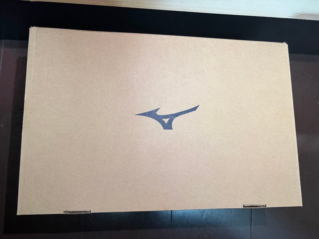 25cm WAVEMONSTER Mizunoボクシングシューズ ブラック