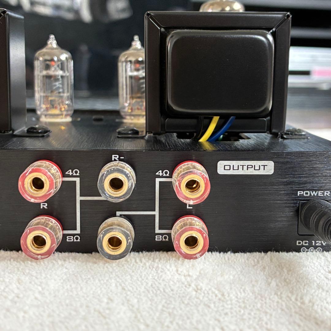 【美品】FX-AUDIO TUBE-P01J（保護ケージ ACアダプタ付）＋α