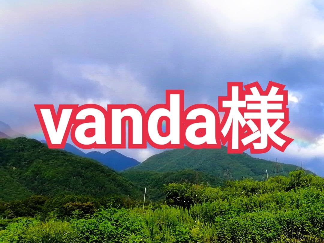 vanda様　枯露柿・干し柿用　渋柿　甲州百目柿　20kg