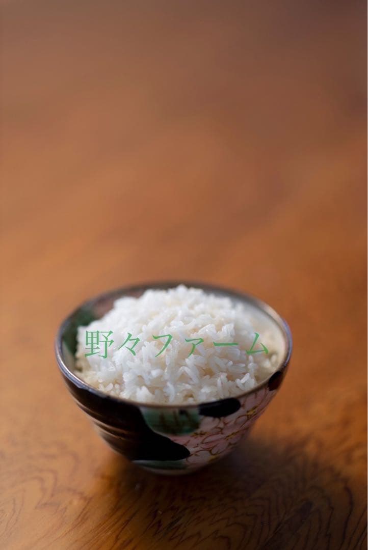 つや姫　20kg 山形　令和7年　特別栽培米