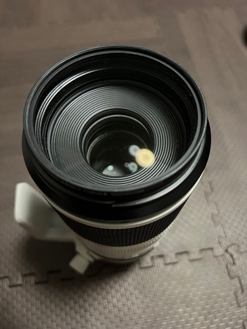 シラスCanonRF100-500mm F4.5-7.1 L IS USM