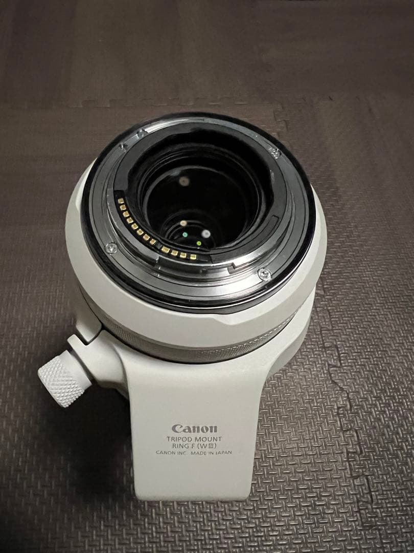 シラスCanonRF100-500mm F4.5-7.1 L IS USM