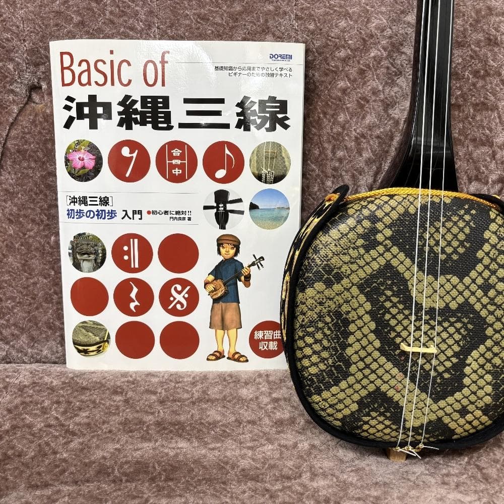 美品 沖縄 三線 初心者向け 人工皮革 ケース付