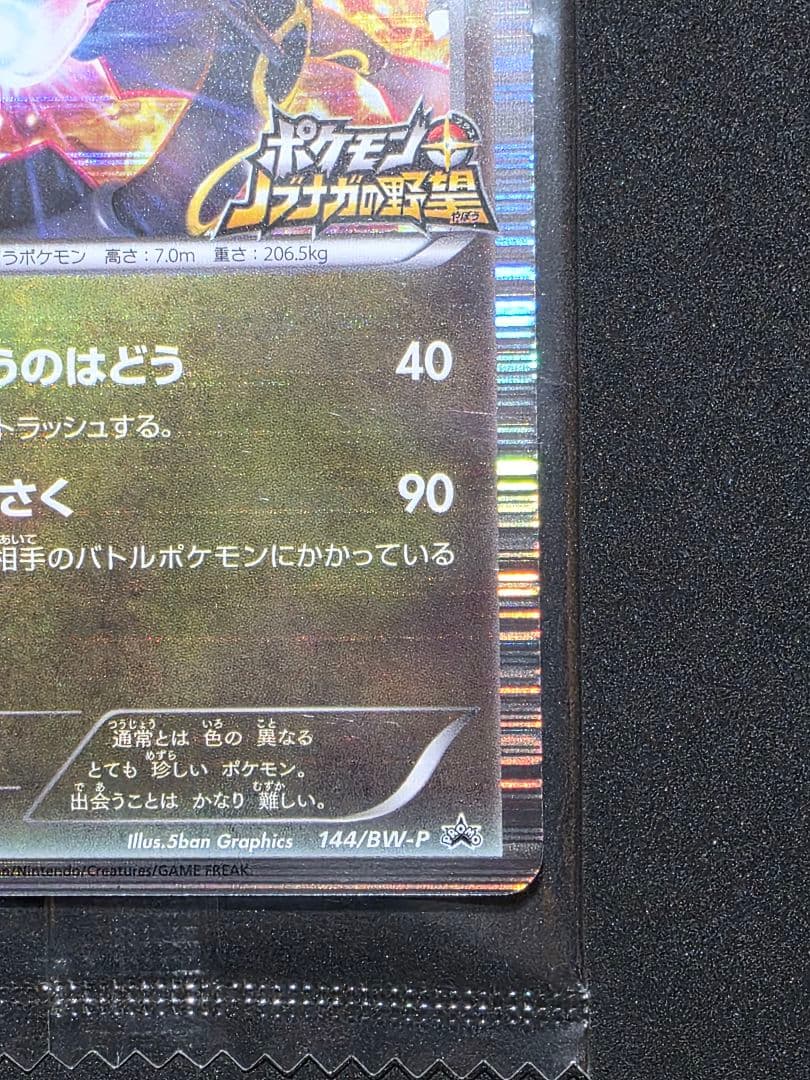 ポケモンカードゲームBW プロモ レックウザ ノブナガの野望 未開封
